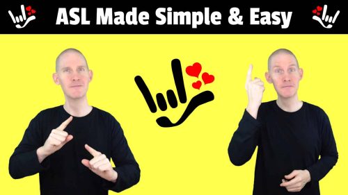 ASL Course Bundle 1, NEW
